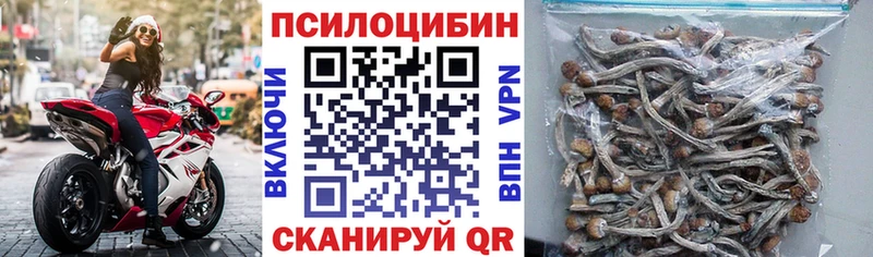 Псилоцибиновые грибы прущие грибы  площадка как зайти  Елабуга 