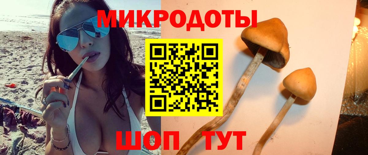 Галлюциногенные грибы Cubensis Елабуга